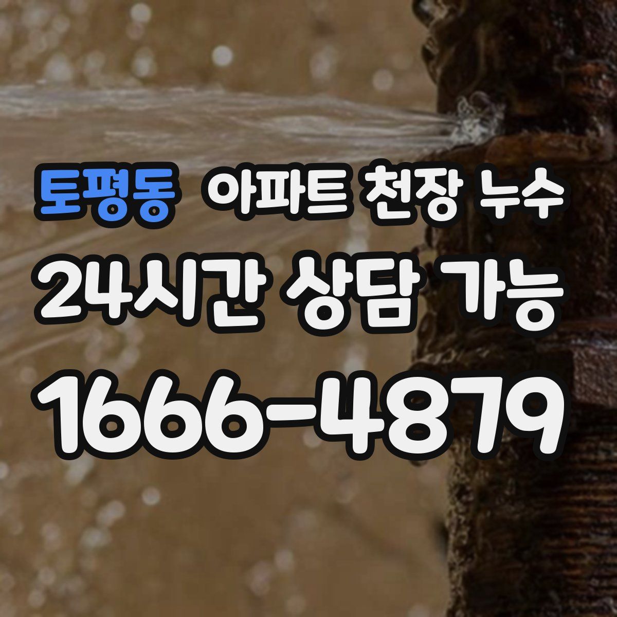 토평동 아파트 천장 누수