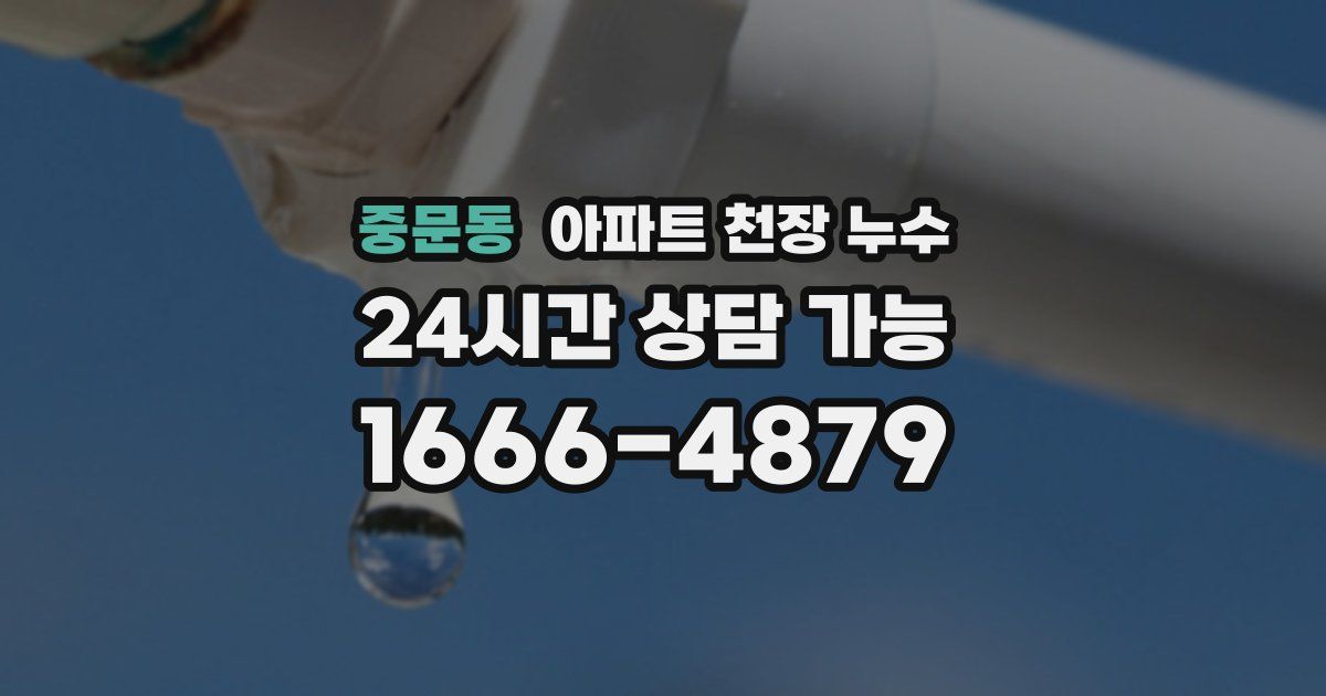 중문동 아파트 천장 누수