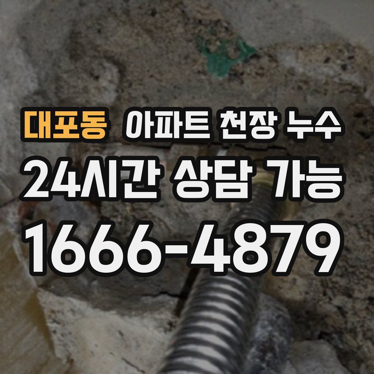대포동 아파트 천장 누수