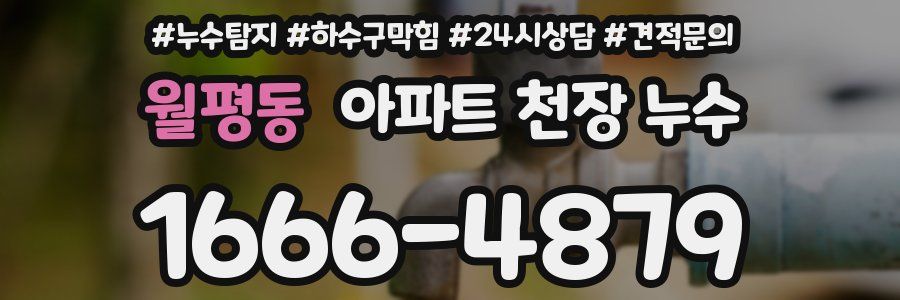 월평동 아파트 천장 누수