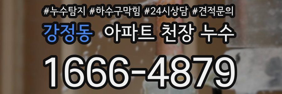 강정동 아파트 천장 누수