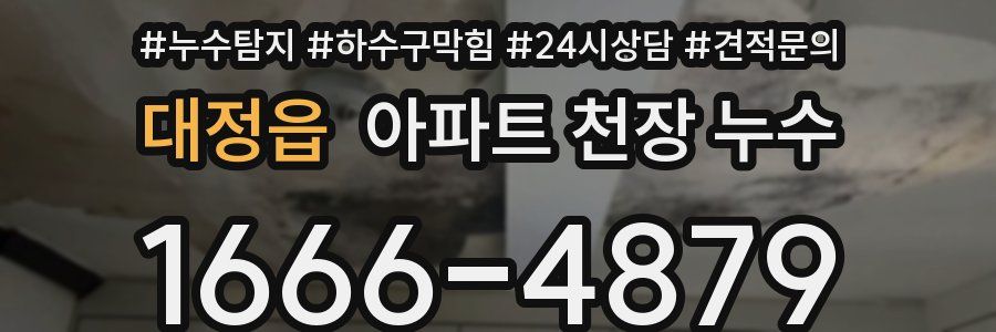 대정읍 아파트 천장 누수