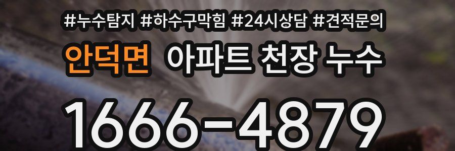 안덕면 아파트 천장 누수