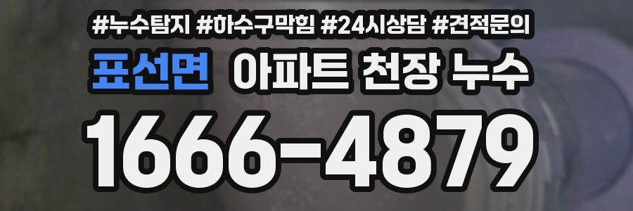 표선면 아파트 천장 누수
