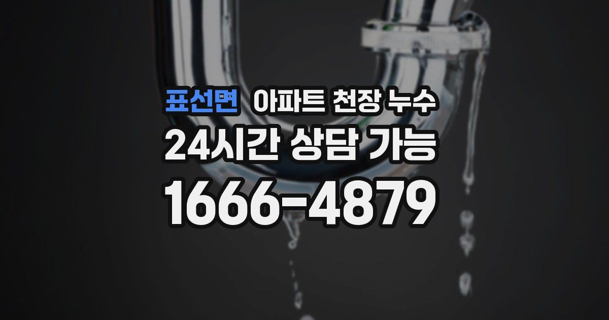 표선면 아파트 천장 누수
