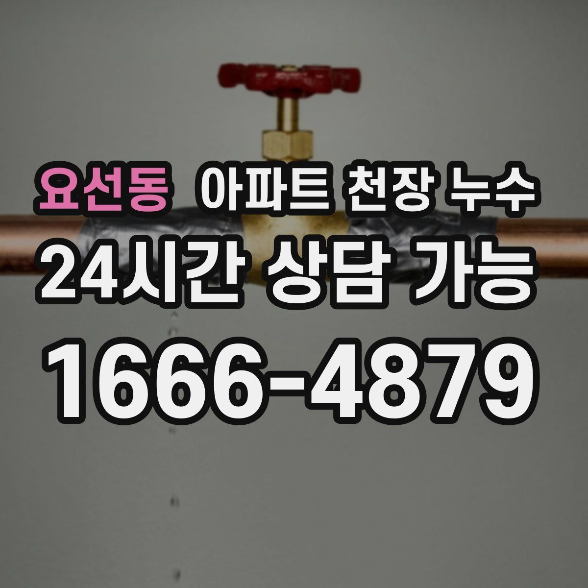 요선동 아파트 천장 누수