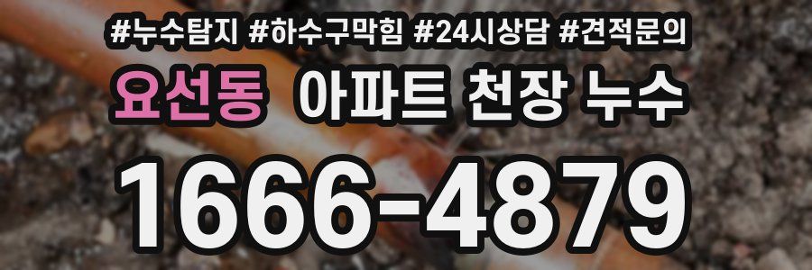 요선동 아파트 천장 누수