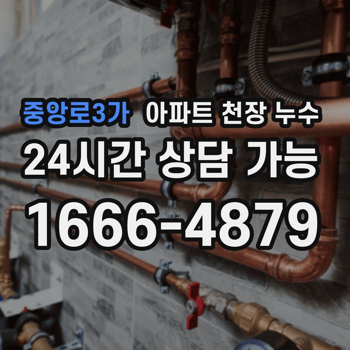 중앙로3가 아파트 천장 누수