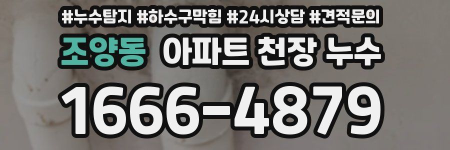 조양동 아파트 천장 누수