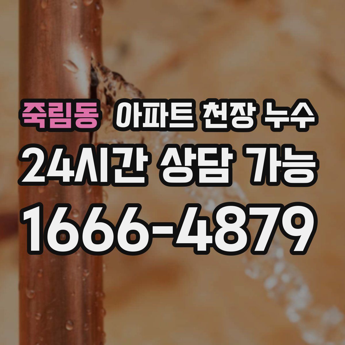 죽림동 아파트 천장 누수