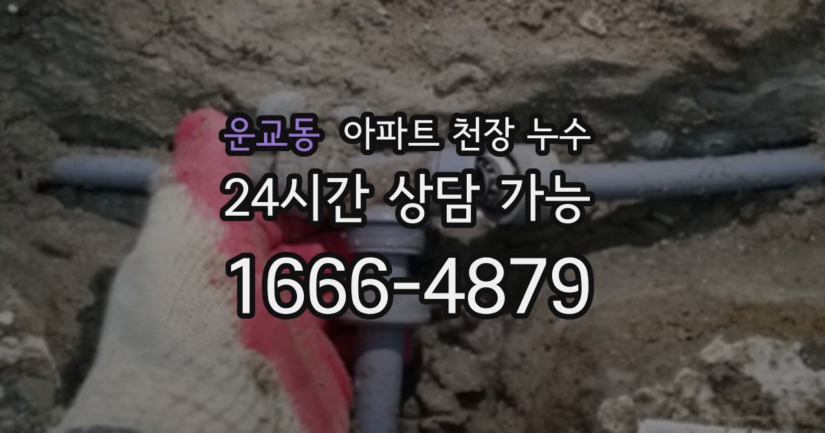 운교동 아파트 천장 누수