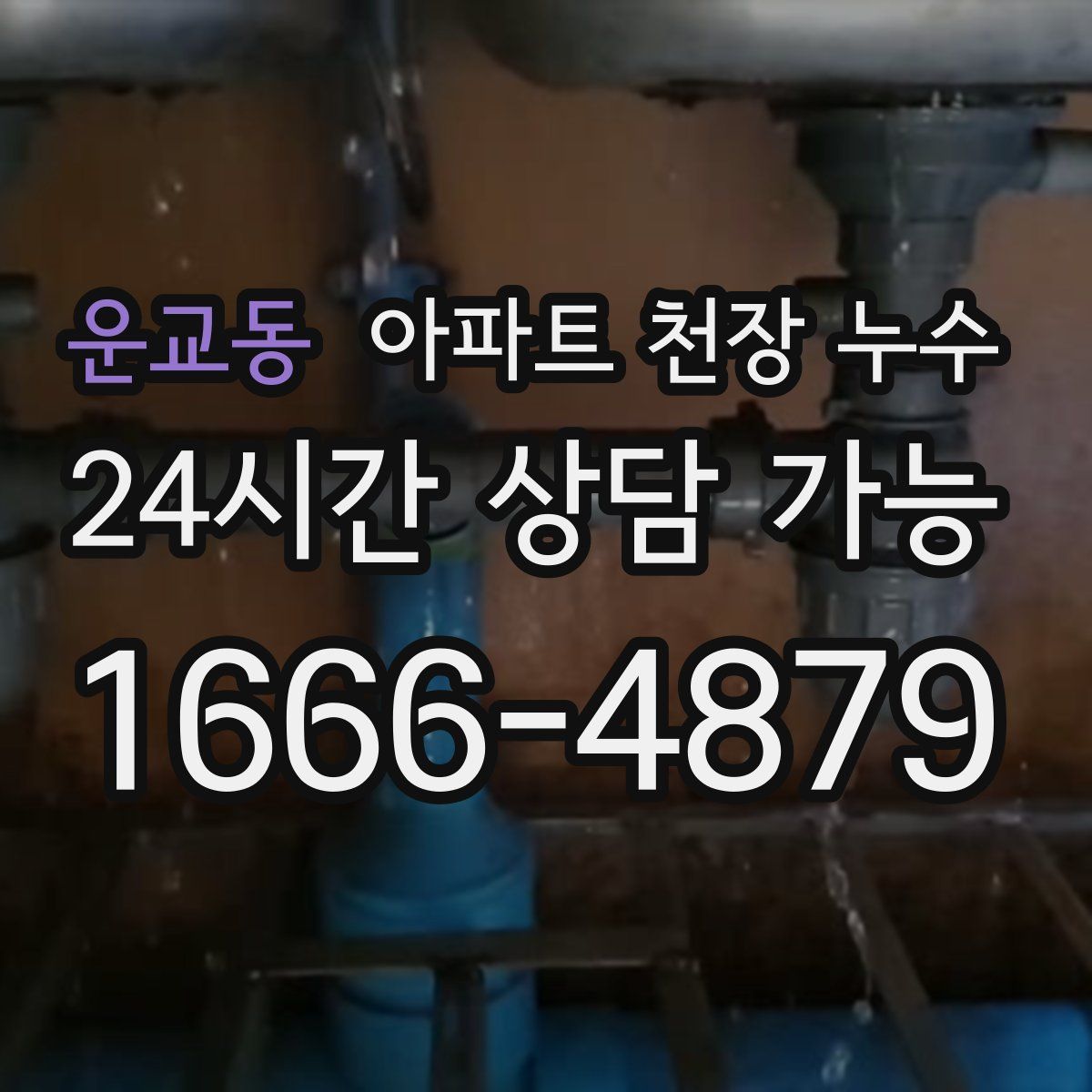 운교동 아파트 천장 누수