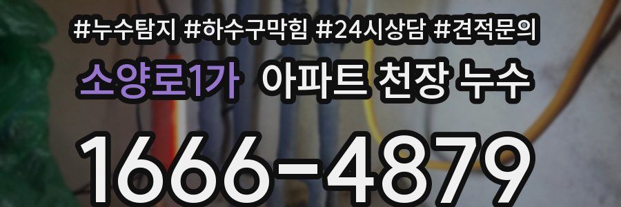 소양로1가 아파트 천장 누수