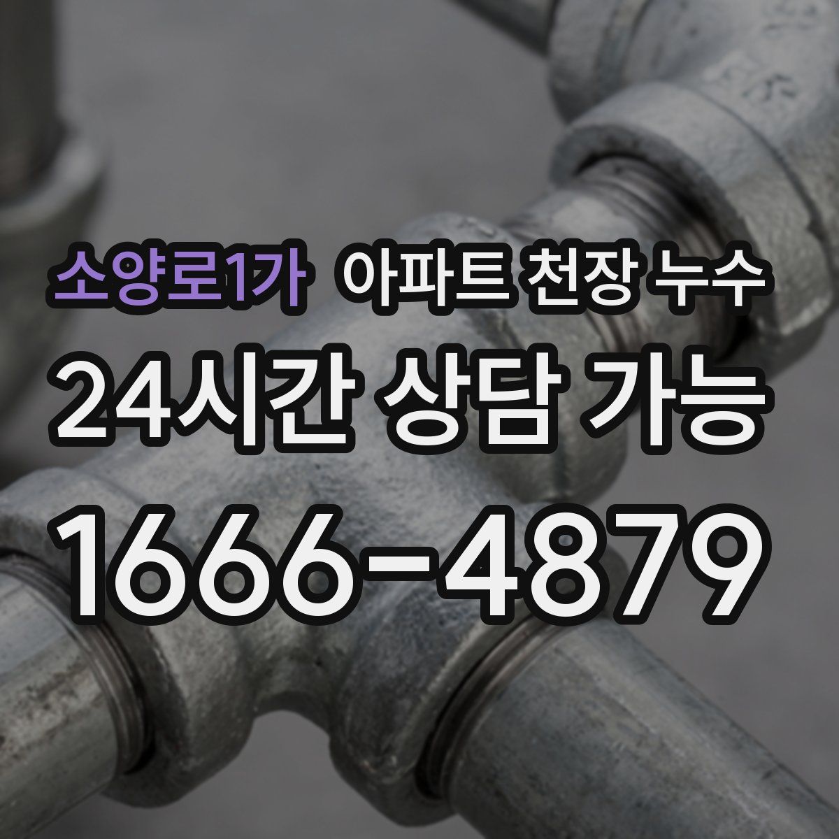 소양로1가 아파트 천장 누수