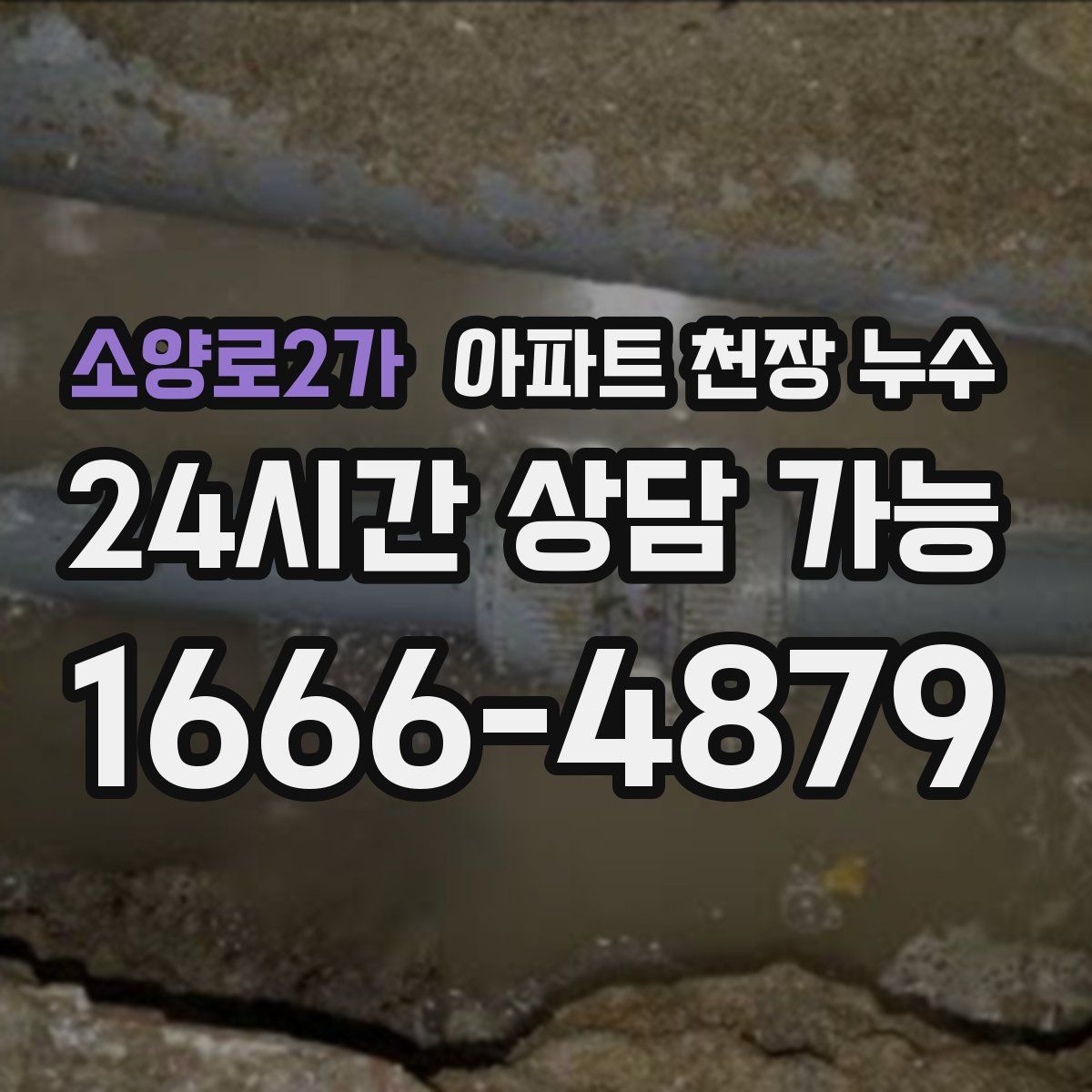 소양로2가 아파트 천장 누수