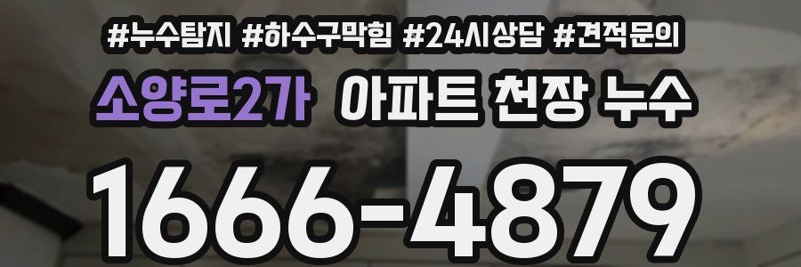소양로2가 아파트 천장 누수