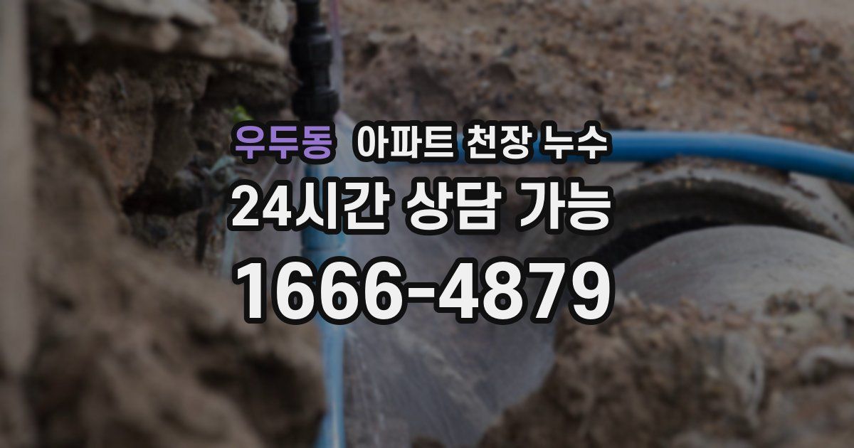 우두동 아파트 천장 누수