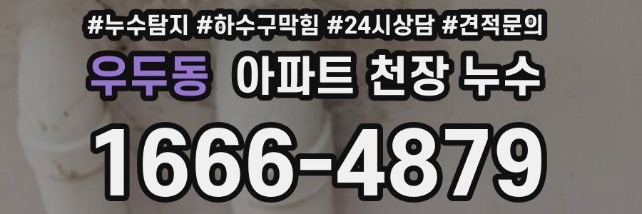 우두동 아파트 천장 누수