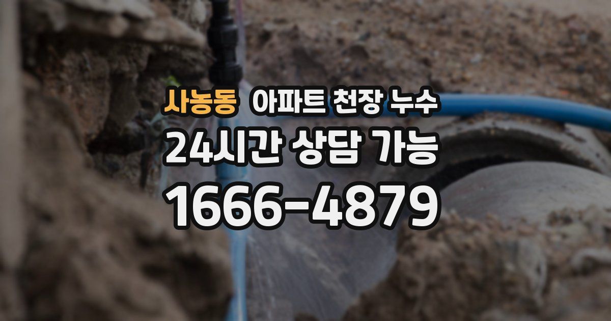 사농동 아파트 천장 누수