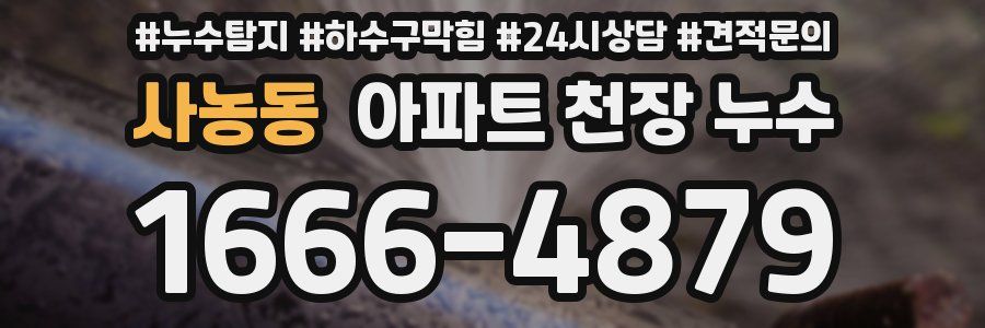 사농동 아파트 천장 누수