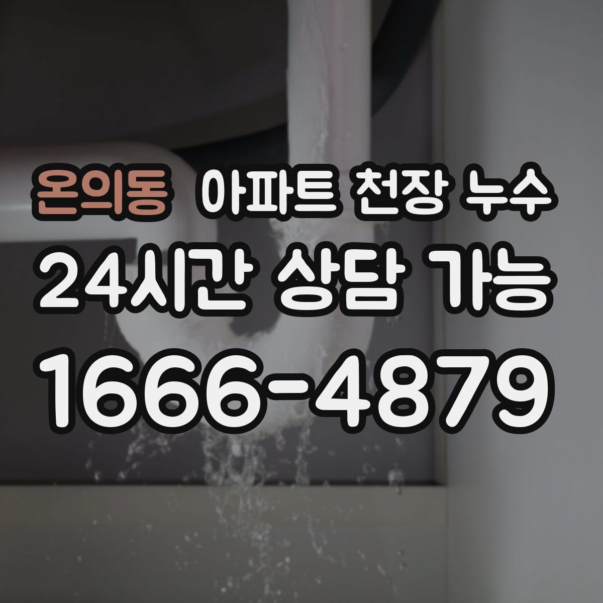 온의동 아파트 천장 누수