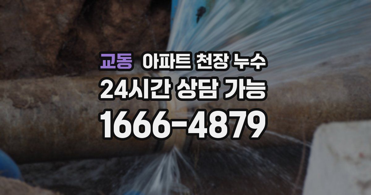 교동 아파트 천장 누수