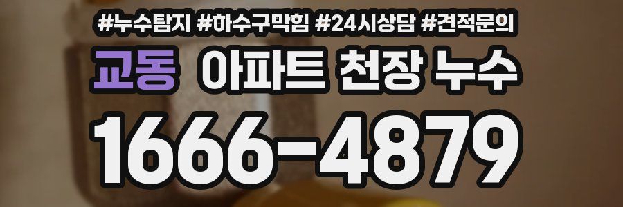 교동 아파트 천장 누수