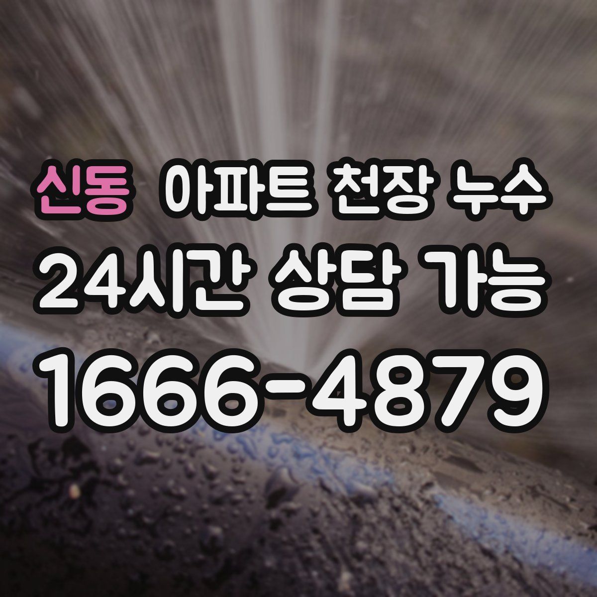 신동 아파트 천장 누수