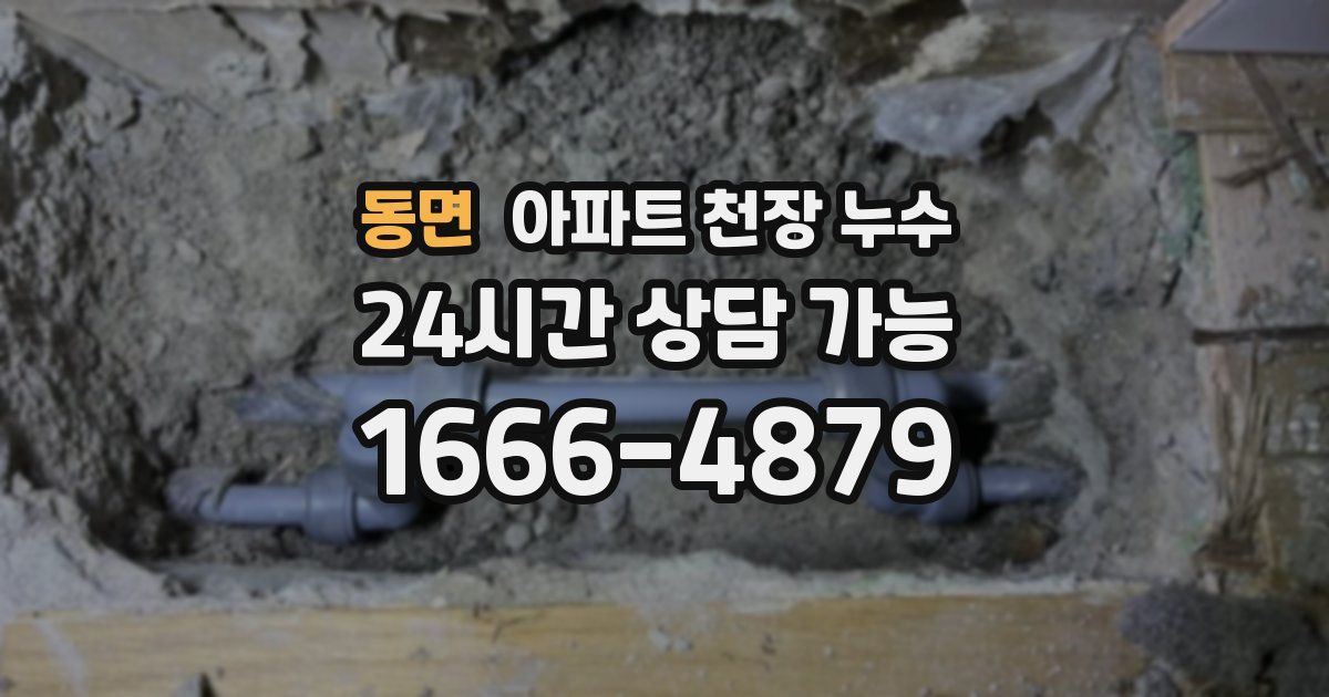 동면 아파트 천장 누수