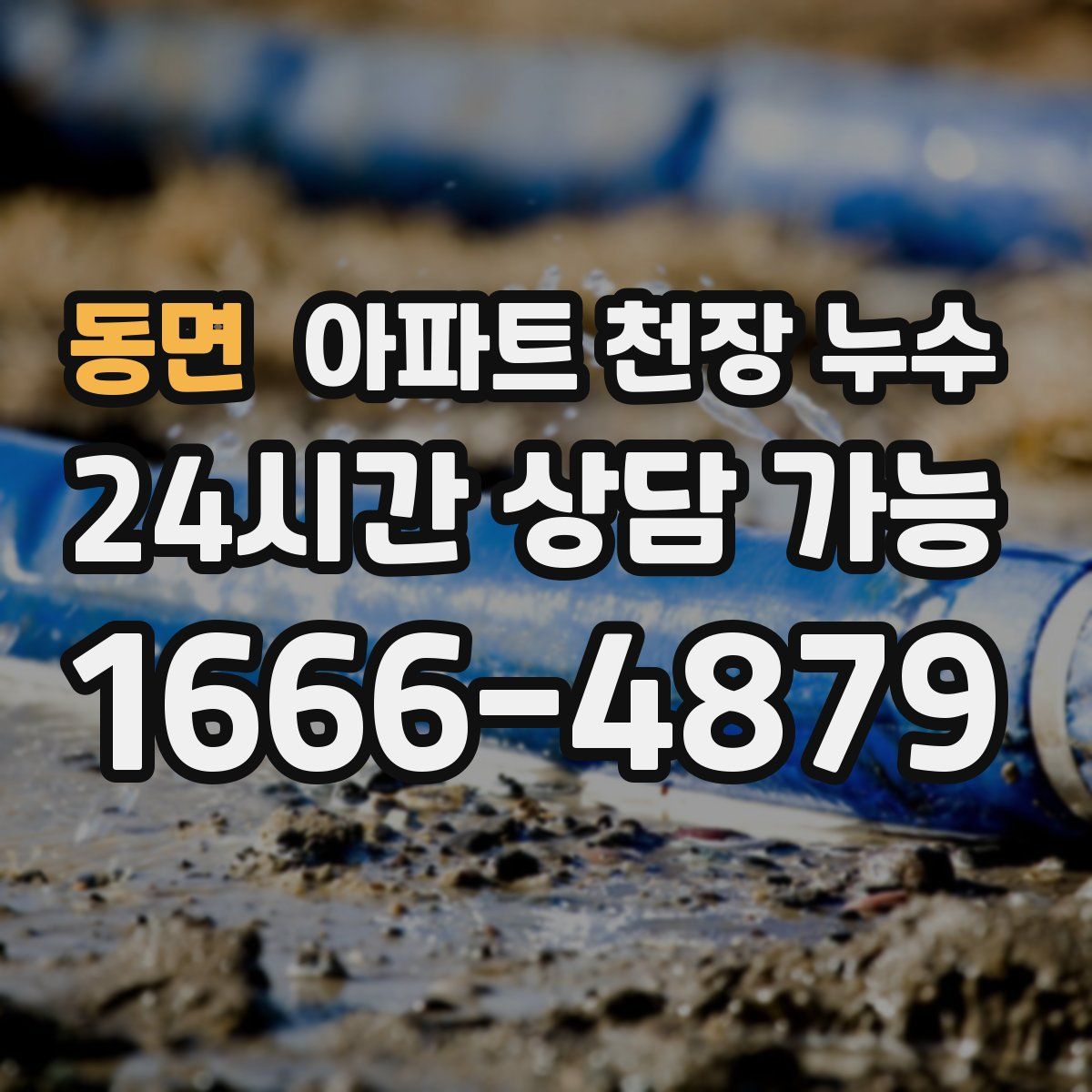 동면 아파트 천장 누수