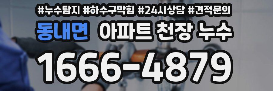 동내면 아파트 천장 누수