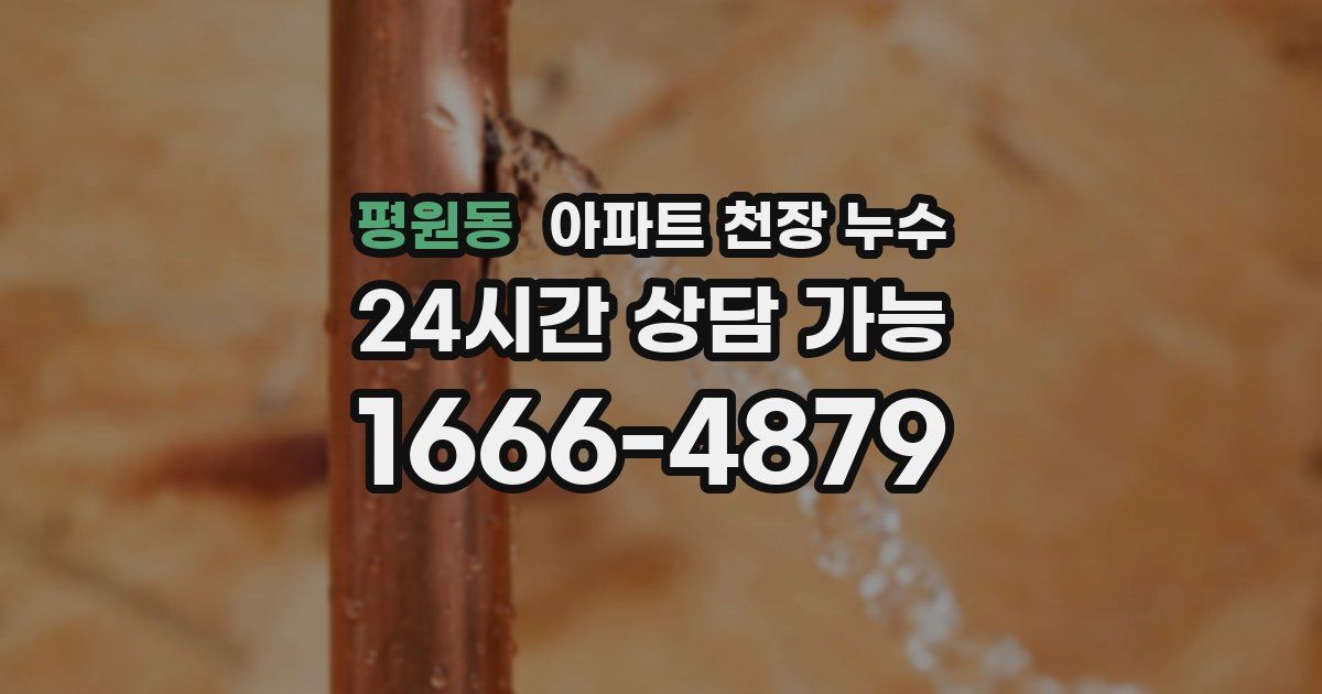 평원동 아파트 천장 누수