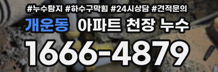개운동 아파트 천장 누수