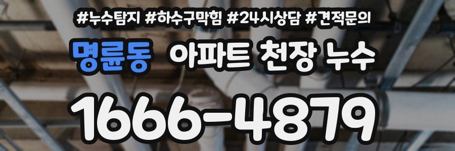 명륜동 아파트 천장 누수