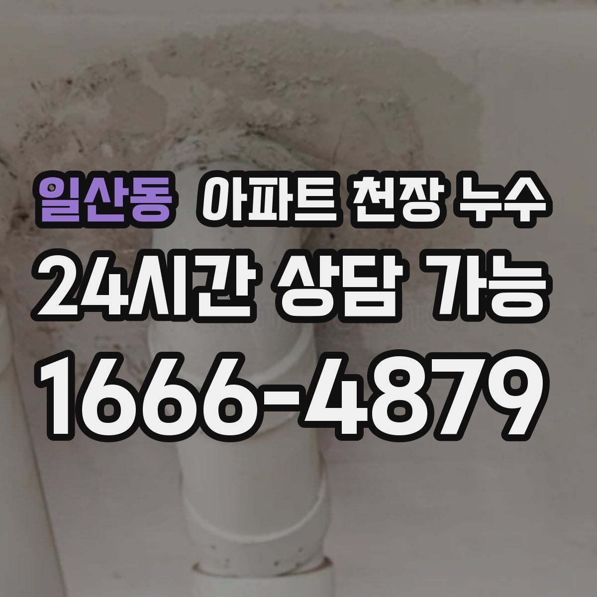 일산동 아파트 천장 누수
