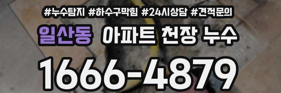 일산동 아파트 천장 누수