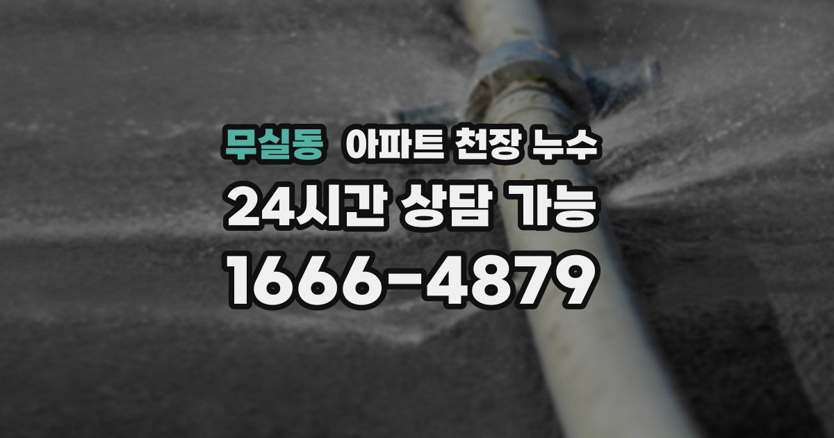 무실동 아파트 천장 누수