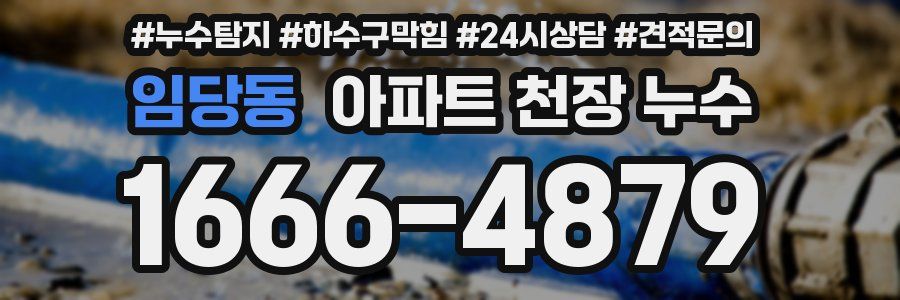 임당동 아파트 천장 누수