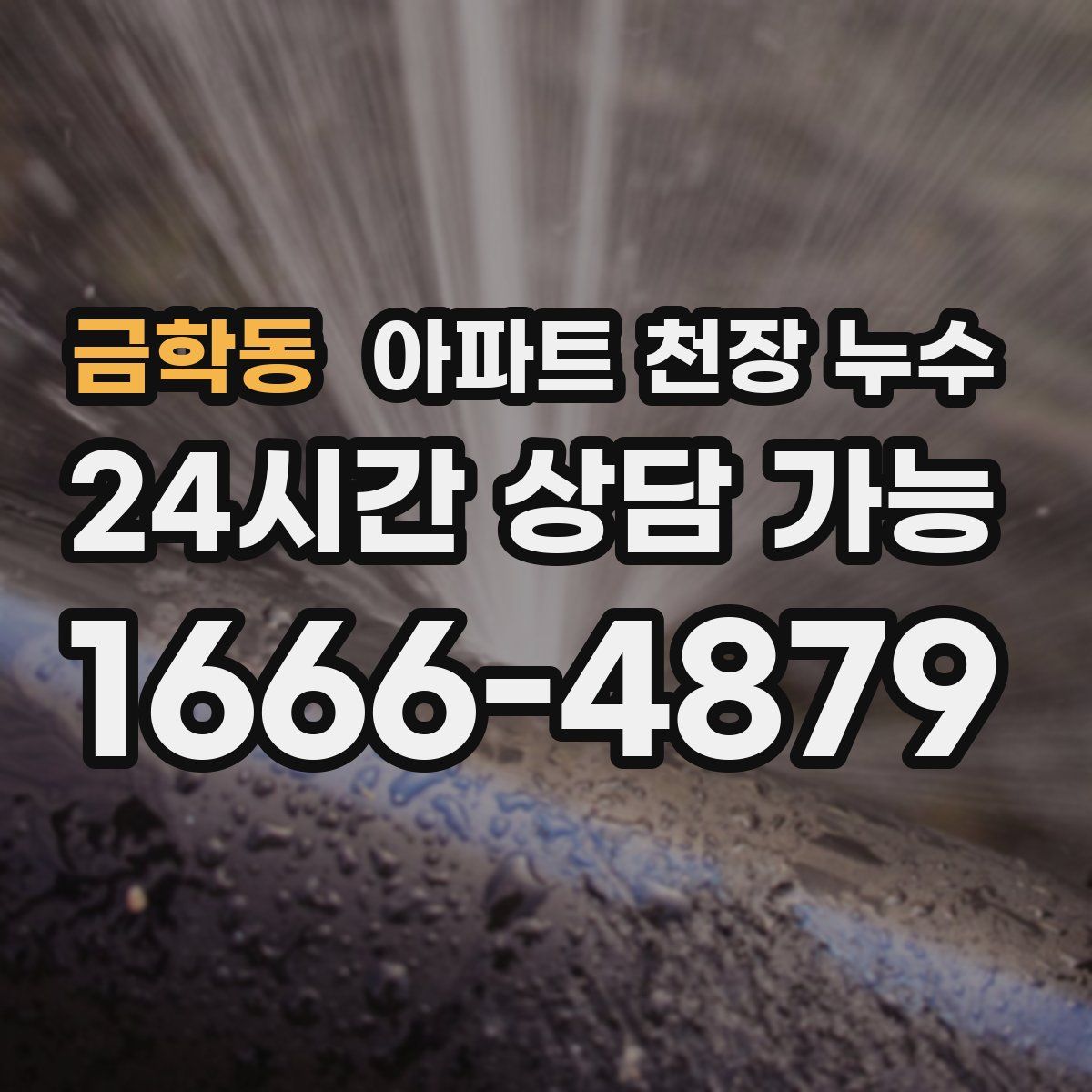 금학동 아파트 천장 누수
