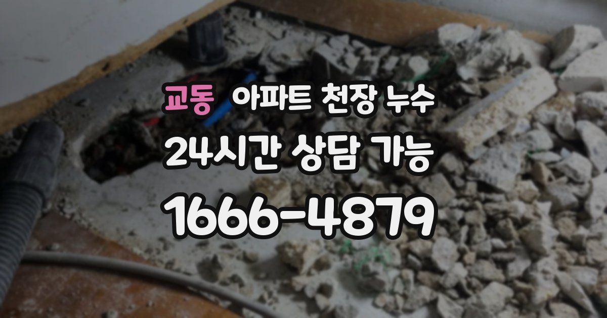 교동 아파트 천장 누수