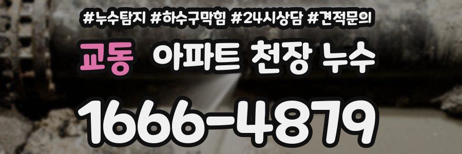 교동 아파트 천장 누수