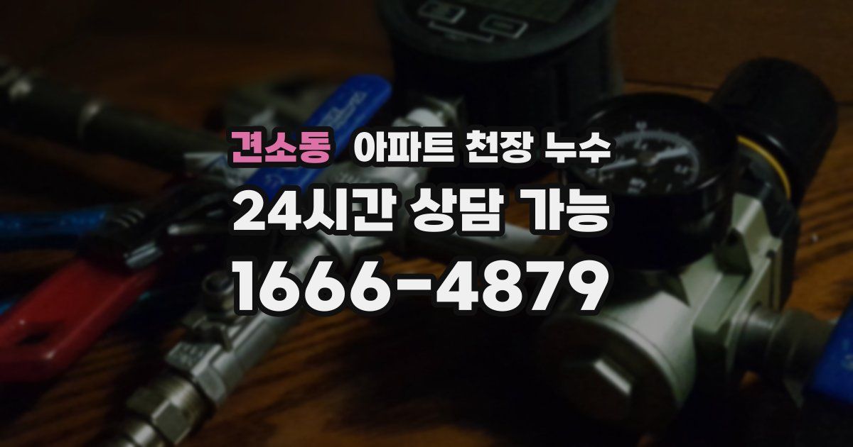 견소동 아파트 천장 누수