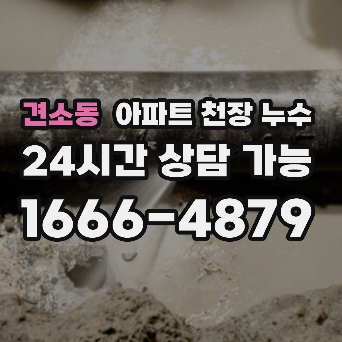 견소동 아파트 천장 누수