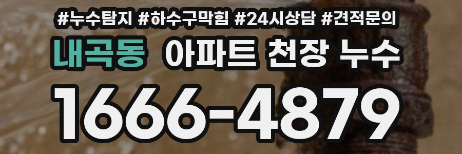 내곡동 아파트 천장 누수