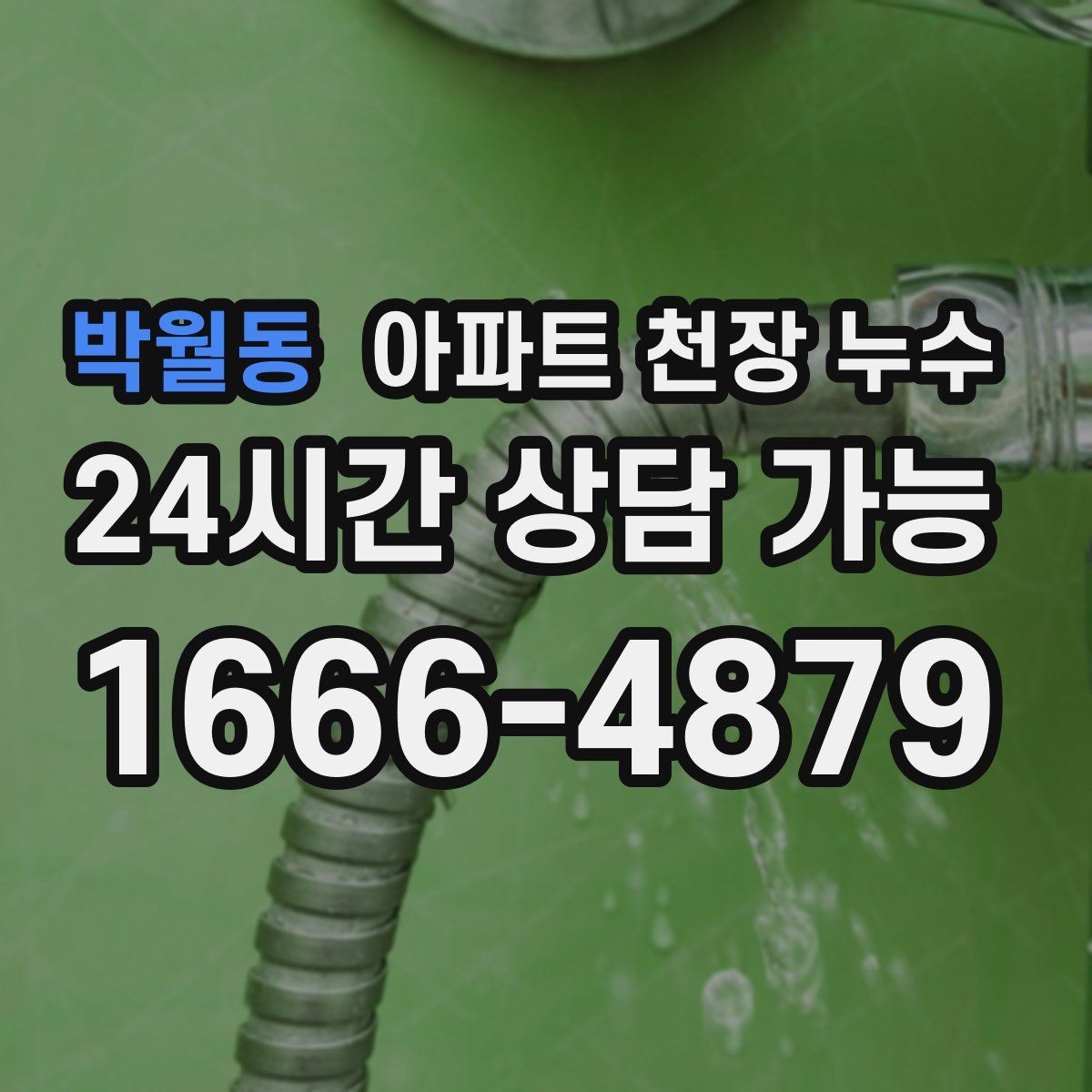 박월동 아파트 천장 누수