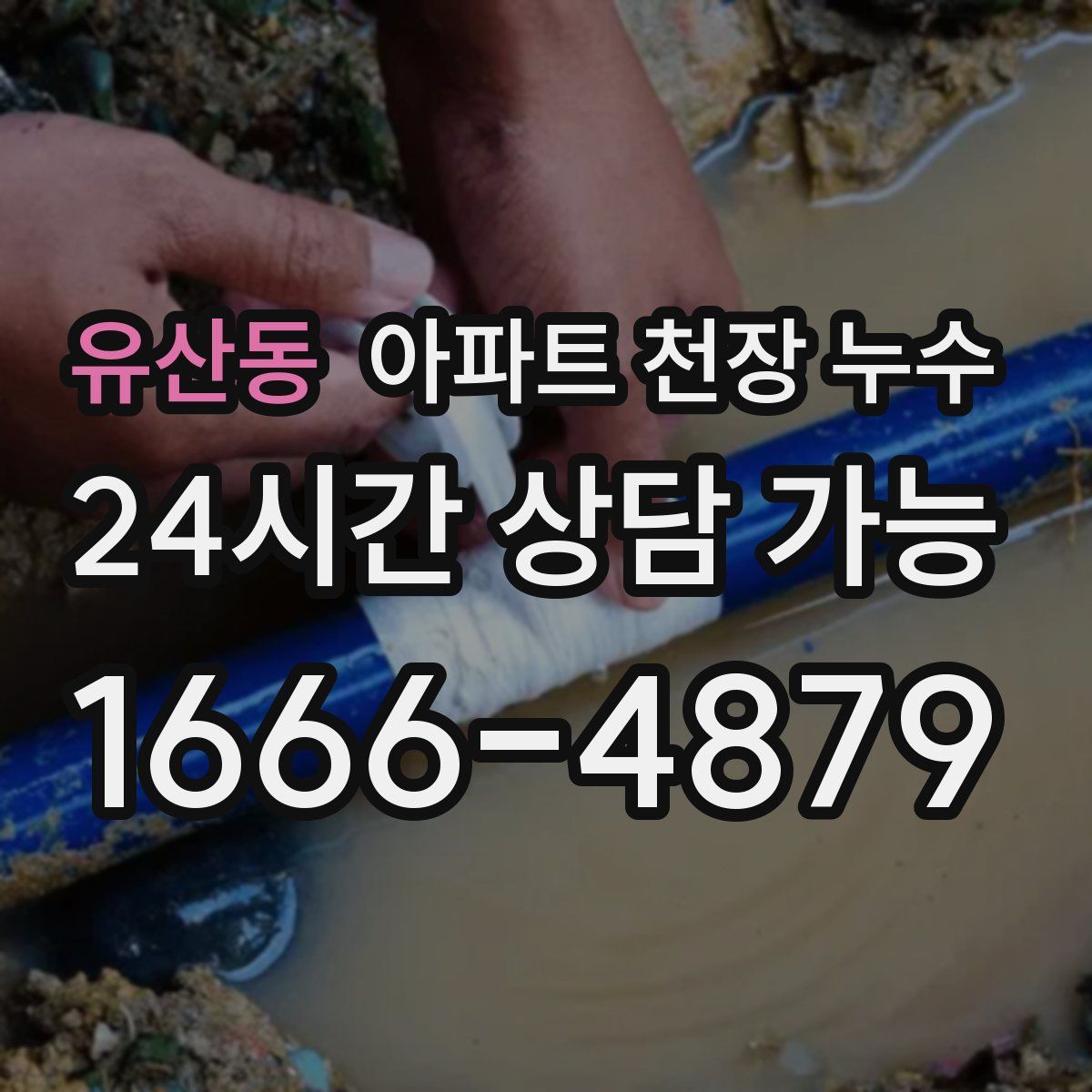 유산동 아파트 천장 누수