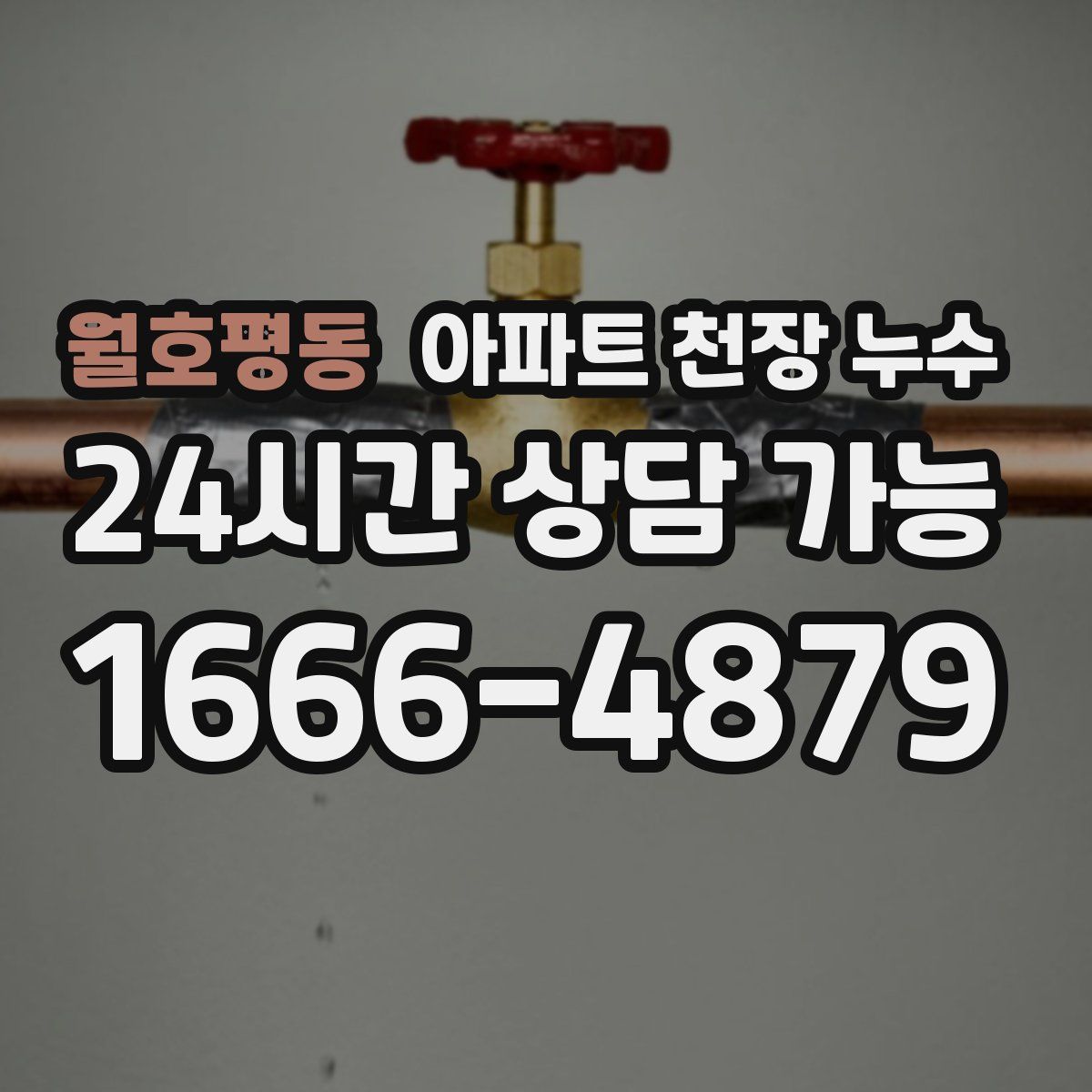 월호평동 아파트 천장 누수
