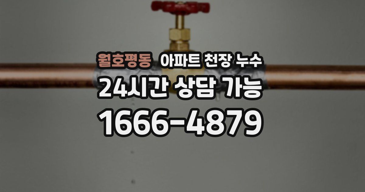 월호평동 아파트 천장 누수