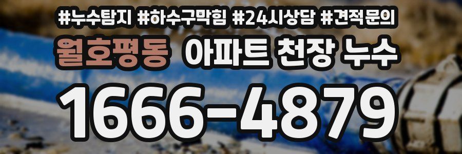 월호평동 아파트 천장 누수