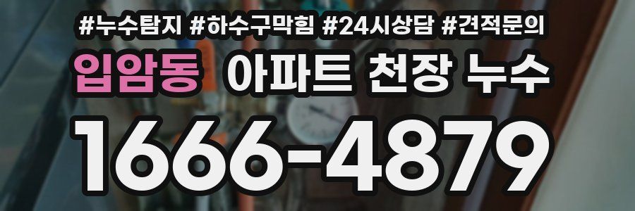 입암동 아파트 천장 누수